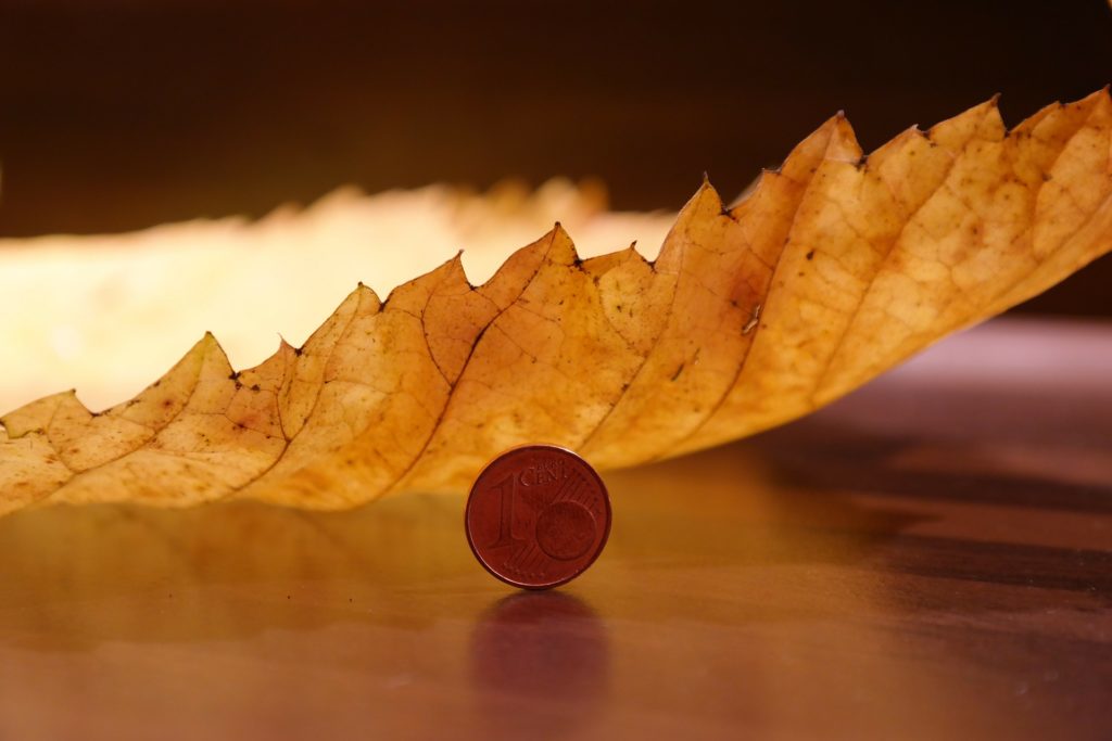 Tassa di successione: pianificazione ereditaria