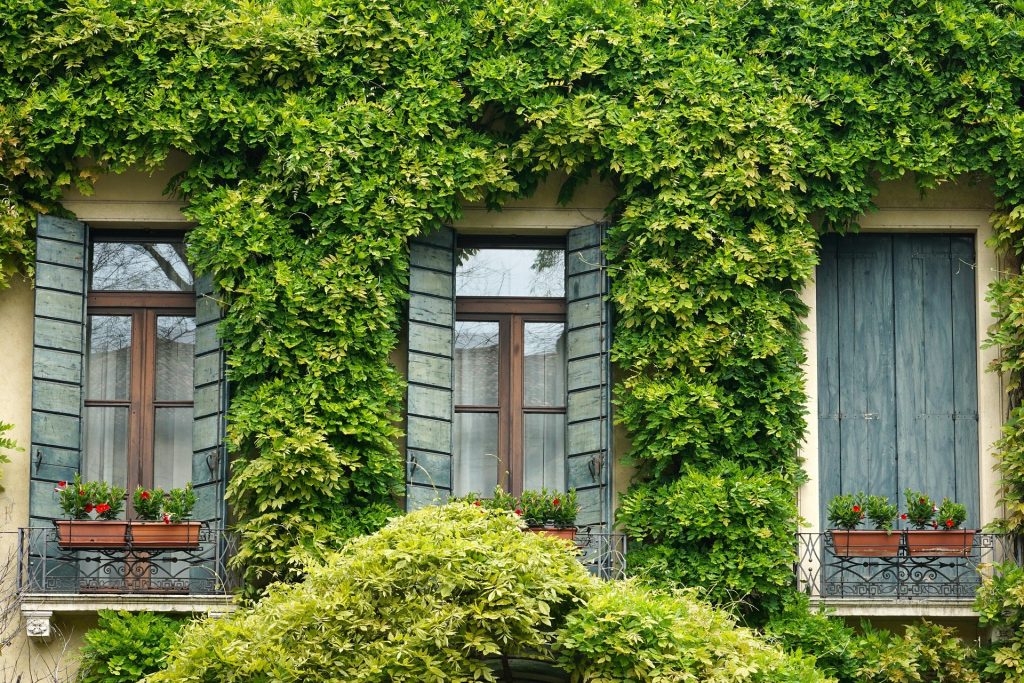Casa ereditata occupata da un coerede o fratello e richiesta indennità di occupazione